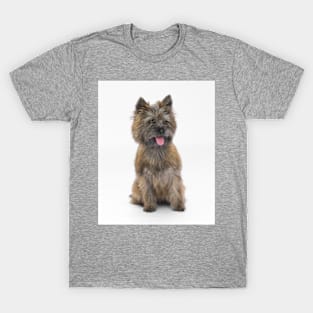 Cairn Terrier 3 T-Shirt